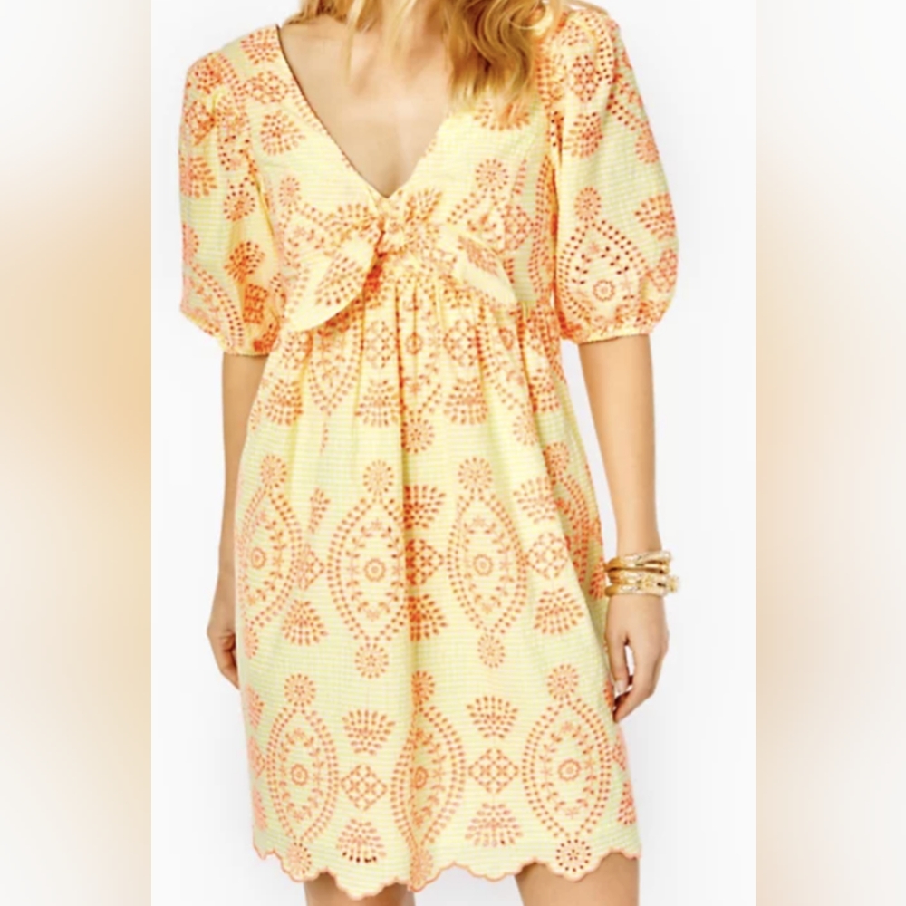 Sarafina dress 10